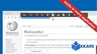 Pantherbar