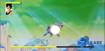 Dragon Ball Z Tournament