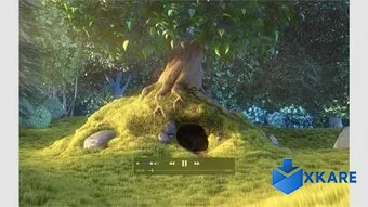 MPlayer Pro X