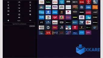 Roku remote control