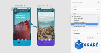 Adobe XD