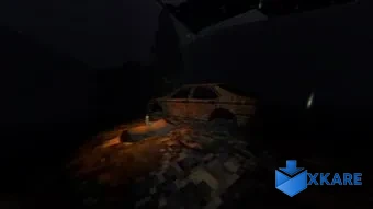 Dark, Dark Woods
