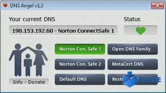 DNS Angel