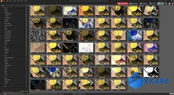 ACDSee Photo Studio Standard 32-bit