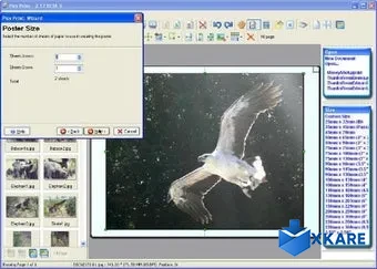 Pics Print