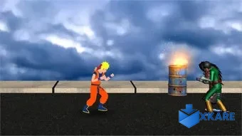 Naruto Fight Shadow
