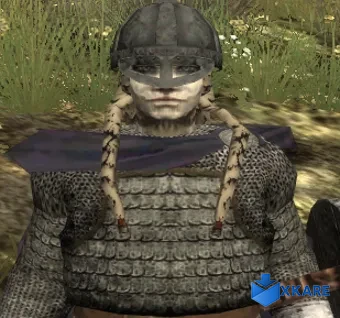 Wrath of the Norsemen Mod