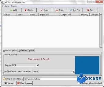 MKV to MP4 Converter