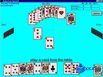 BRIDGE Card Game From Special K