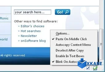 Auto Copy Extension
