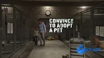 Animal Shelter