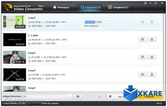 Wise Video Converter