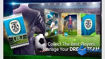 Pro 11 - Football Manager Game