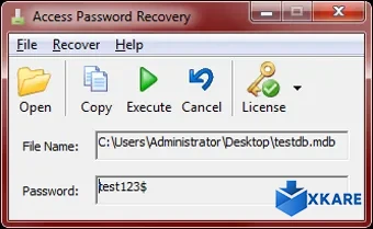 Access Password Recovery