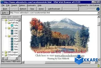 32bit Web Browser