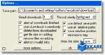 Web Downloader