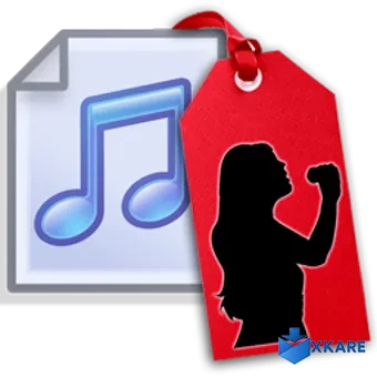 Music Tag