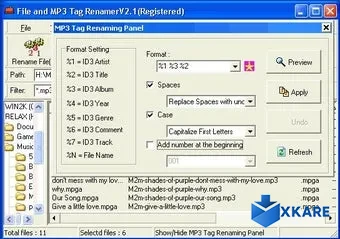 File And MP3 Tag Renamer