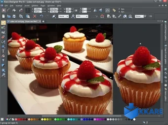 Xara Designer Pro