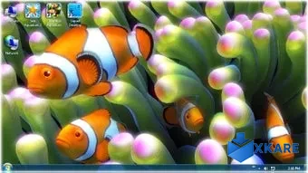 Clownfish Aquarium Live Wallpaper