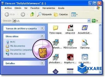 Hamster Ball Desktop Pet