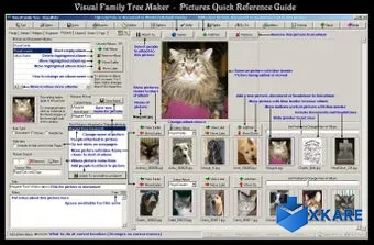 Visual Family Tree Maker