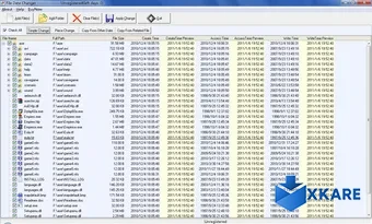FMS File Date Changer