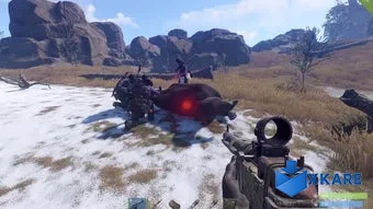 Rust