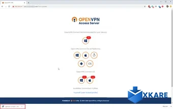 OpenVPN